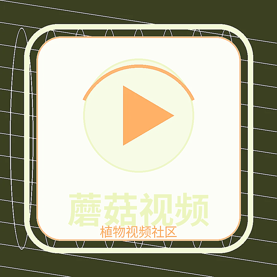 蘑菇视频